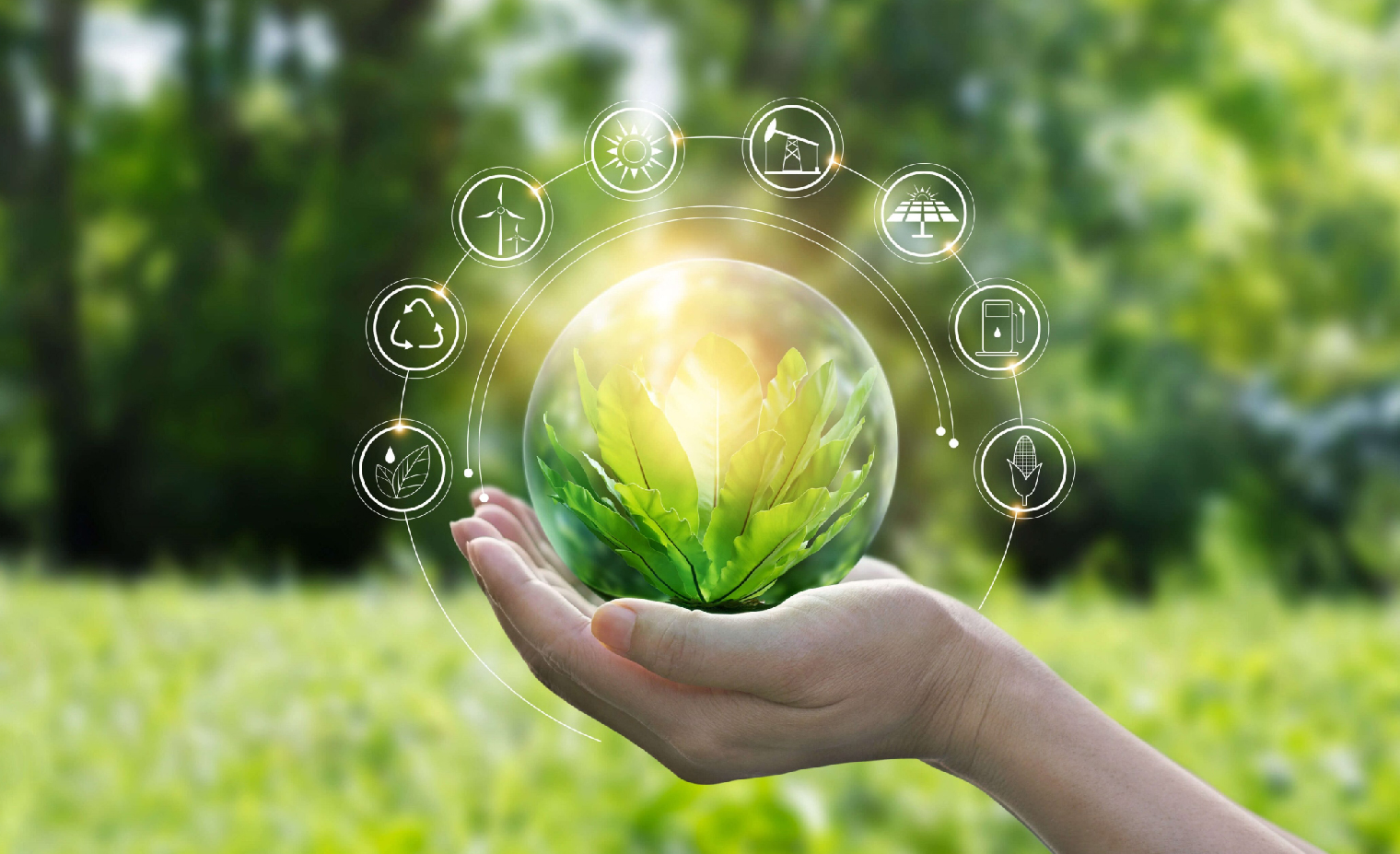 Hệ thống giám sát môi trường tự động: Đảm bảo môi trường sống xanh